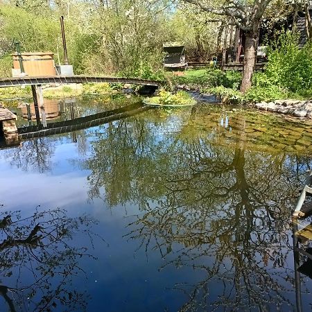 Ferienwohnung In Peetzig Am See Ангермюнде Екстериор снимка