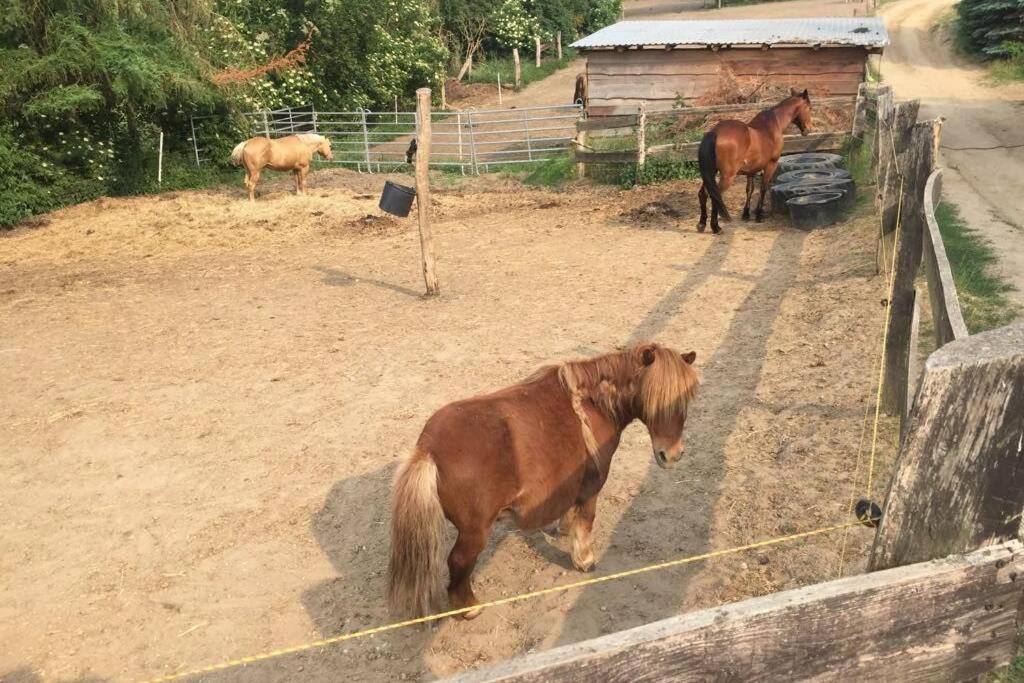 Ferienwohnung In Peetzig Am See Ангермюнде Екстериор снимка