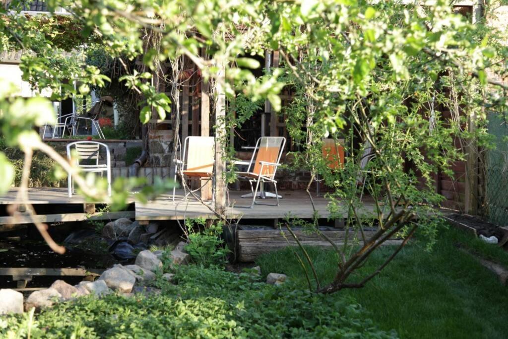 Ferienwohnung In Peetzig Am See Ангермюнде Екстериор снимка