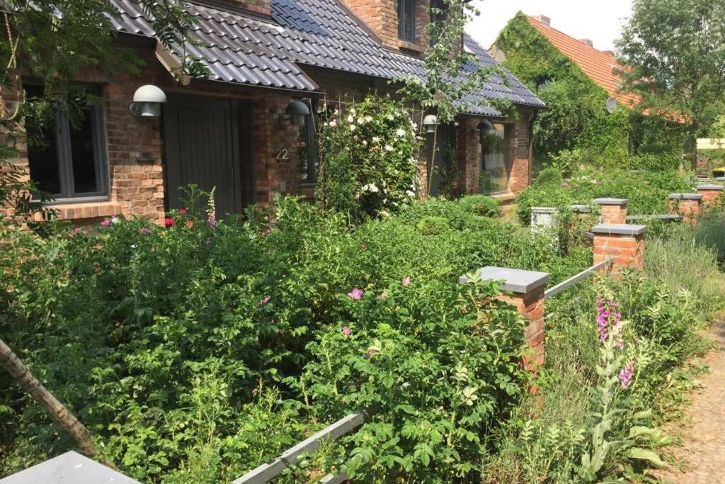 Ferienwohnung In Peetzig Am See Ангермюнде Екстериор снимка
