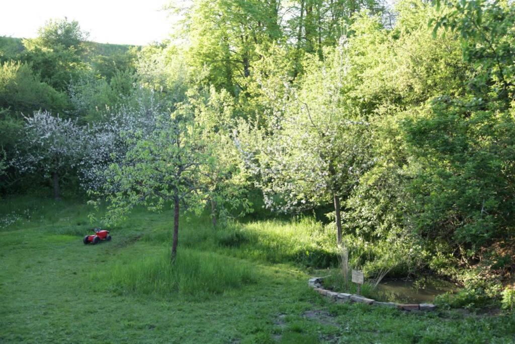 Ferienwohnung In Peetzig Am See Ангермюнде Екстериор снимка